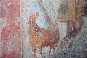 Anteprima. Clicca per ingrandire